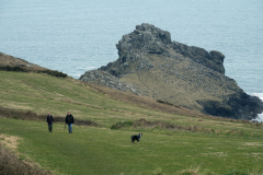 A couple walk their dog on the coastal path that passes infront of the Gurnard's Head rock outcropping. Gurnard's Head is a prominent headland on the north coast of the Penwith peninusla in Cornwall, England. The name is supposed to reflect that the rocky peninusla resembles the head of the gurnard fish. (Photograph by Kim Newton)