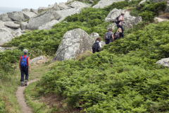 Hikers walk along the coastal path near Zennor, Cornwall, England. (Photograph by Kim Newton)