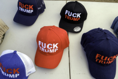 Newton_20250405_7729-Edit