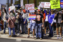 Newton_20250405_7789-Edit