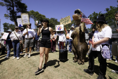 Newton_20250405_7874-Edit