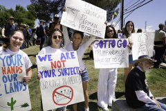 Newton_20250405_7908-Edit