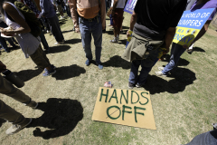 Newton_20250405_7911-Edit