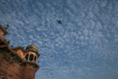 Newton_20131227_3822