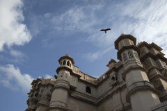 An Eagle flys over the City Palace in Udaipur, Rajistan, India.