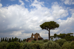 106 Unpublished Photographs Italy Vol. 1, May-June 2010