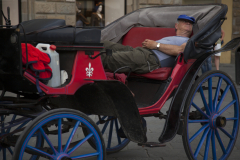 A horse drawn carrage driver takes a nap in Florence, Italy.