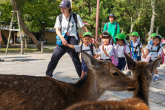 Newton_20231017_2361