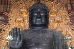 The Great Buddha is seen inside the Todai-ji temple in Nara, Japan.
