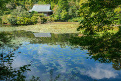 Kyoto