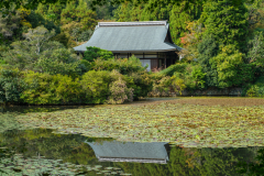 Kyoto