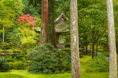Kyoto