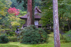 Kyoto