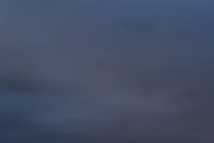 Newton_20101122_5226