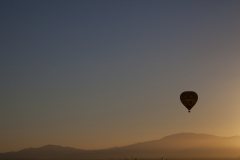 A hotair baloon rises with the sun in Tucson, Arizona.