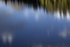 Newton_20120629_4318