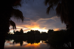 The sunsets over a natural spring lake at Agua Caliente Regional Park in Tucson, Arizona.