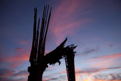 The internal ribs of a dead Saguaro cactus are silhouetted during sunset near Saguaro National Park in Tucson, Arizona.