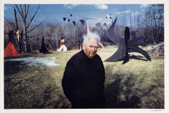 16-a-Calder
