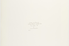 32-b-deKooning