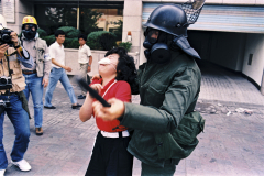 Pro Democracy Demonstration