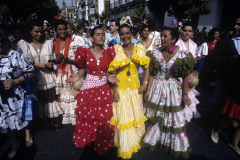 Romeria Del Rocio