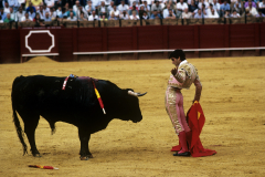 A matador challanges a bull during a Feria de Abril bullfight in the Plaza de Toros de la Maestranza de Caballeria de Sevilla. The bullring is the oldest in Spain.