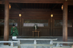 Newton_20131221_3247