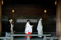 Newton_20131221_3250