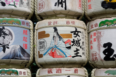 Newton_20231015_2214