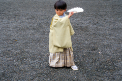 Newton_20231015_2226