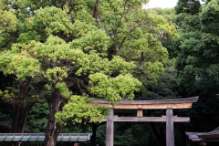 Newton_20231015_2239