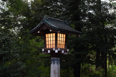 Newton_20231015_2270