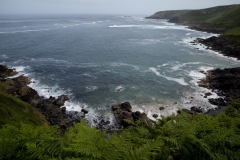Newton_20100708_2406
