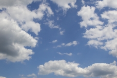 The landscape shows a lone tree in a field of the Mississippi River Delta along state HWY 3 in Illinois.
