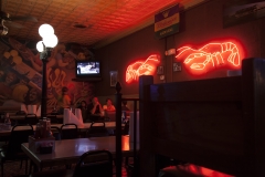 Newton_20120510_3516